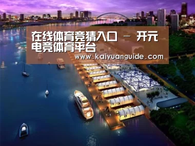 案例展示八