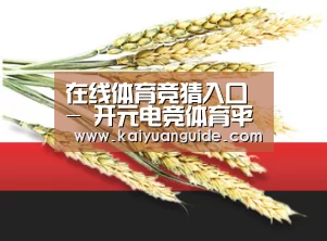 在线体育竞猜入口 - 开元电竞体育平台