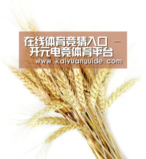 在线体育竞猜入口 - 开元电竞体育平台