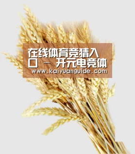 在线体育竞猜入口 - 开元电竞体育平台