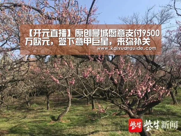 开元APP