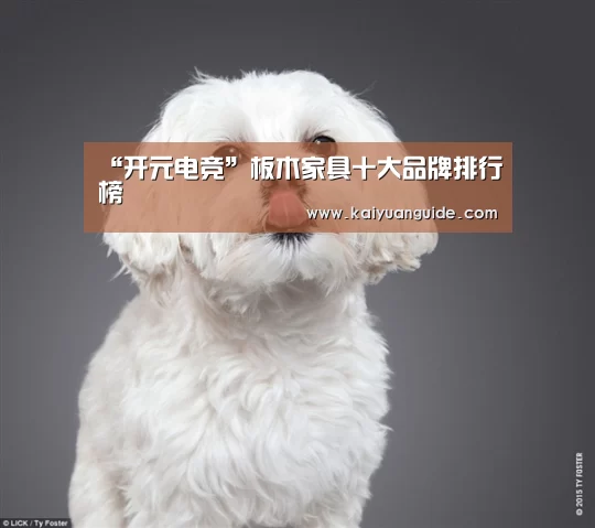 “开元电竞”板木家具十大品牌排行榜(图4) 开元直播