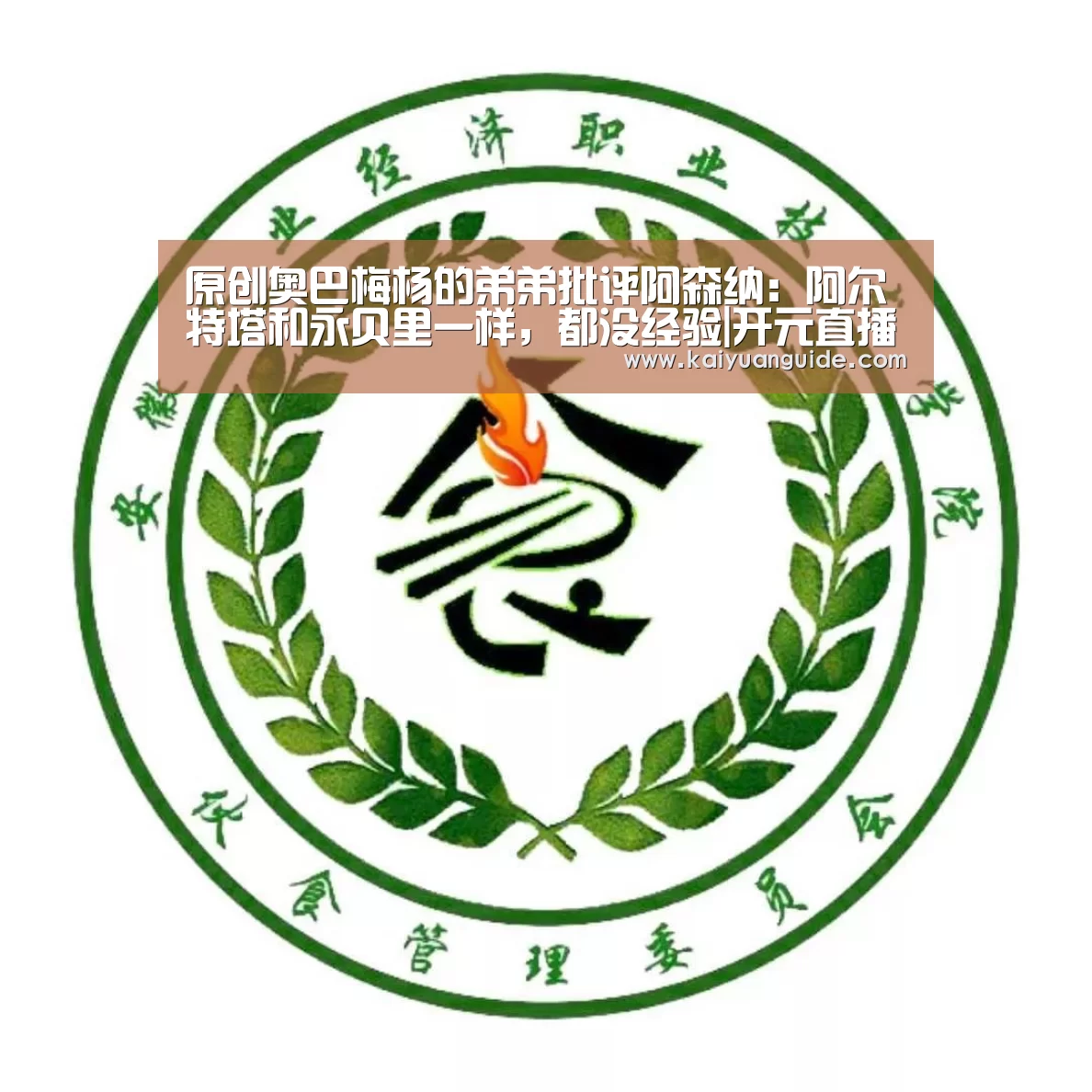 原创奥巴梅杨的弟弟批评阿森纳:阿尔特塔和永贝里一样,都没经验|开元直播(图4) 开元电竞