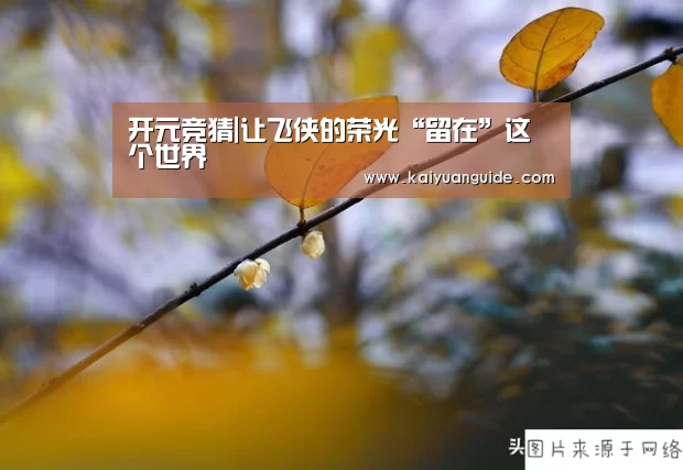 开元竞猜|让飞侠的荣光“留在”这个世界(图3) 开元竞猜