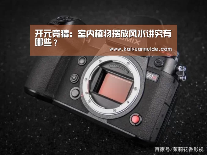 开元竞猜:室内植物摆放风水讲究有哪些?(图2) 开元APP