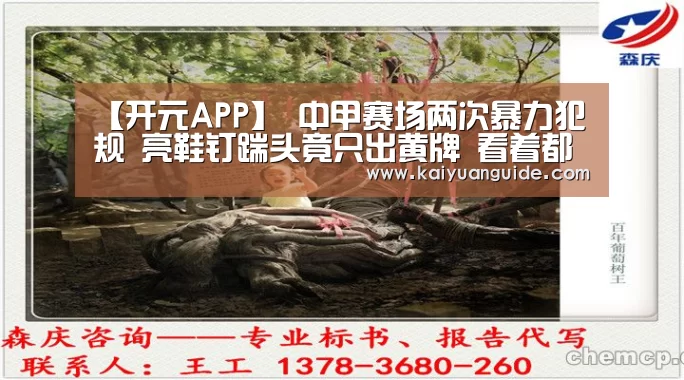开元竞猜