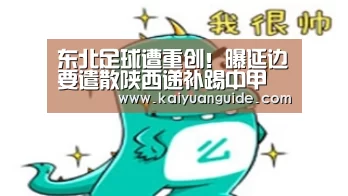 东北足球遭重创!曝延边要遣散陕西递补踢中甲 没钱真玩不了足球_开元APP(图1) 开元竞猜