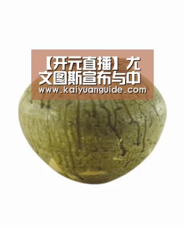 【开元直播】尤文图斯宣布与中场大将续约至2022年(图4) 开元电竞