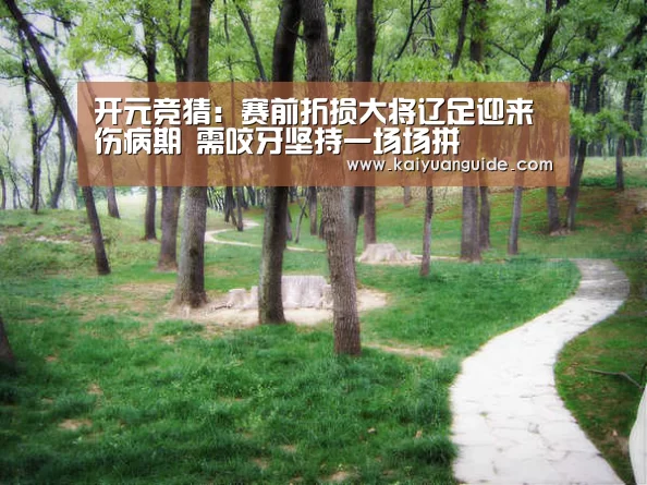 开元竞猜:赛前折损大将辽足迎来伤病期 需咬牙坚持一场场拼(图3) 开元直播