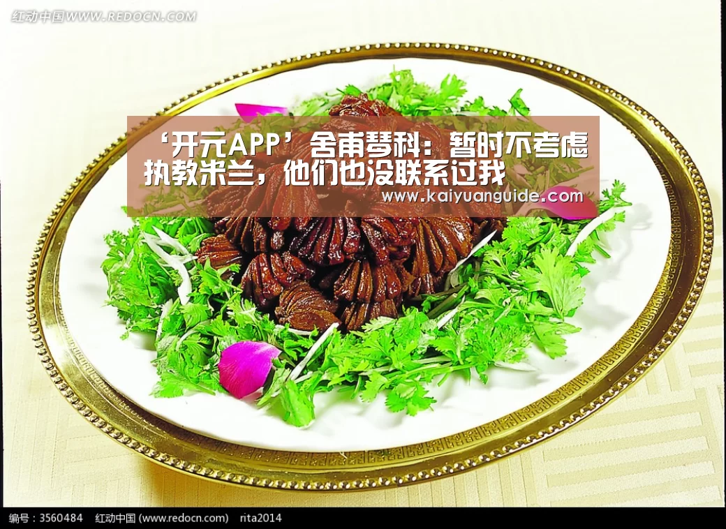 ‘开元APP’舍甫琴科:暂时不考虑执教米兰,他们也没联系过我(图1) 开元电竞