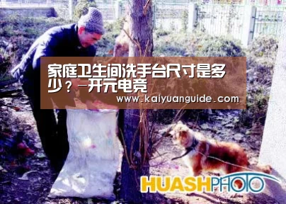 开元竞猜