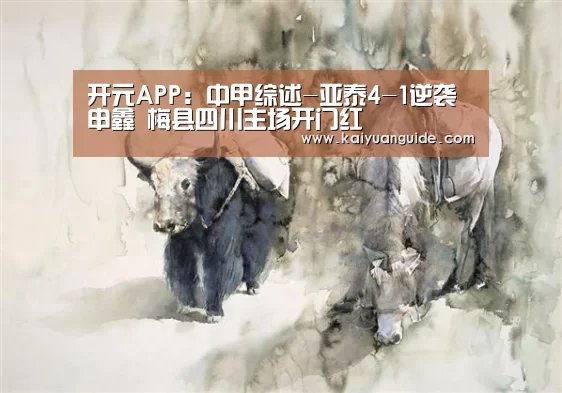 开元APP:中甲综述-亚泰4-1逆袭申鑫 梅县四川主场开门红(图4) 开元APP