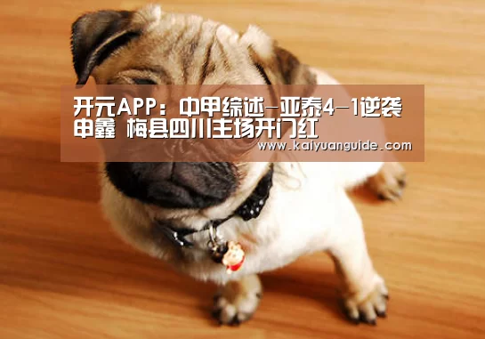 开元APP:中甲综述-亚泰4-1逆袭申鑫 梅县四川主场开门红(图3) 开元竞猜